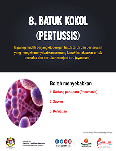 Batuk Kokol(Pertussis) - infografik 8